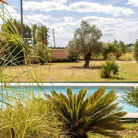 Appartement Le Loft Des Pradasses Tourtres